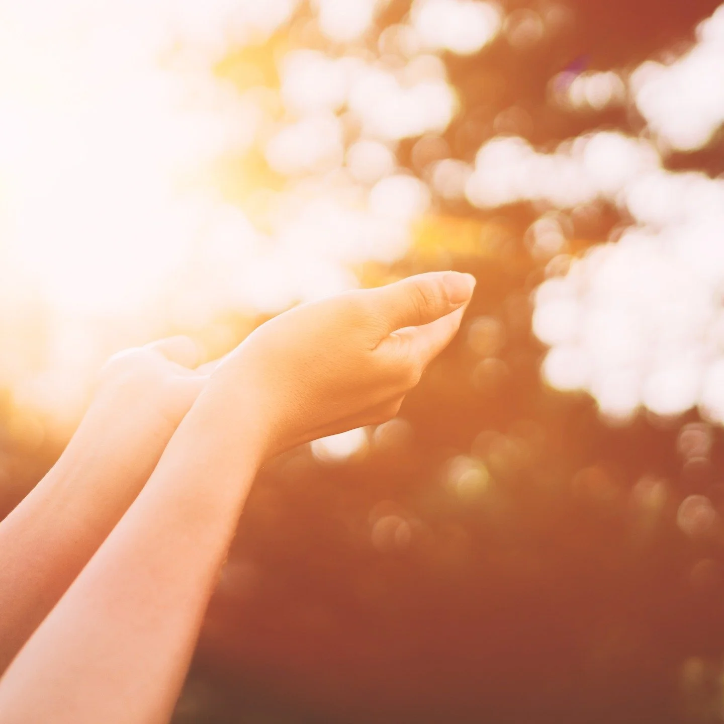 Starting off the weekend with a new blog post https://sober-badassery.ghost.io/giving-thanks-2025/