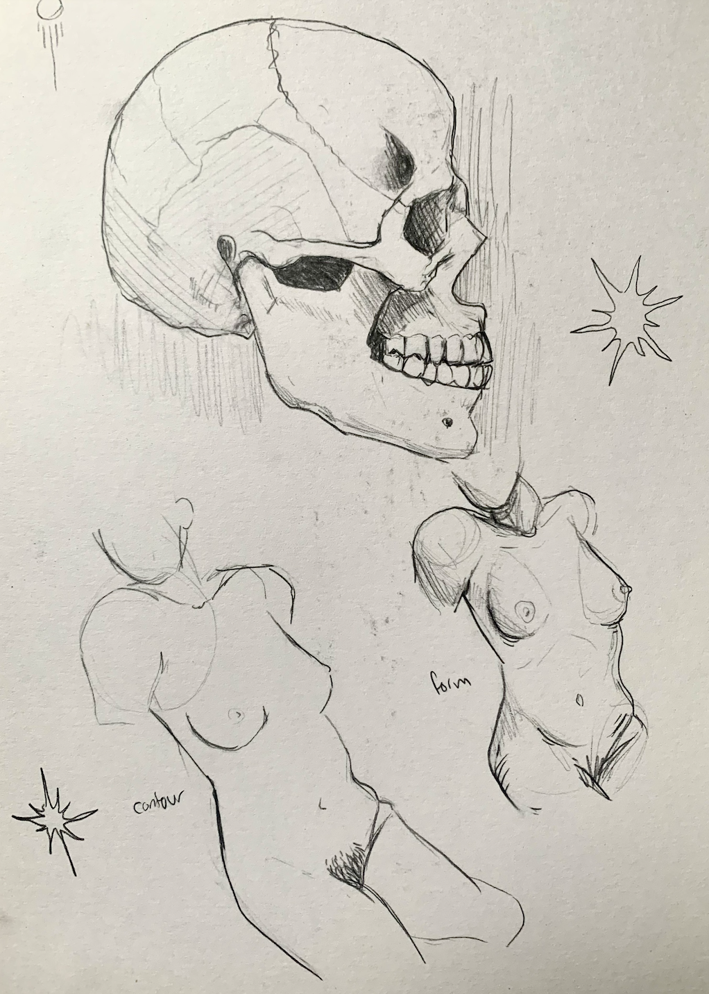 Screen Shot 2022-05-08 at 2.48.49 PM.png