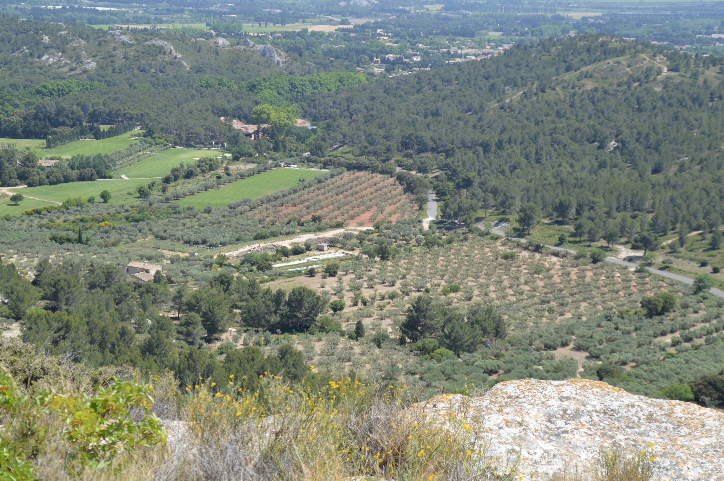 DSC_0534.JPG