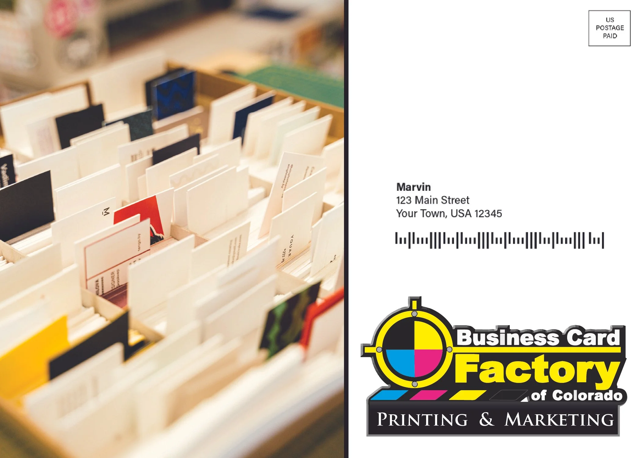 Mock Mailer back.jpg