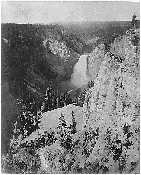 Lower Falls of the Yellowstone
