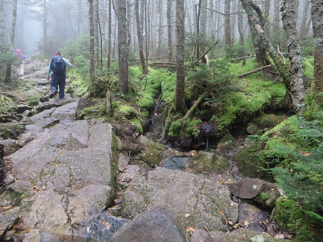 National Trails Day