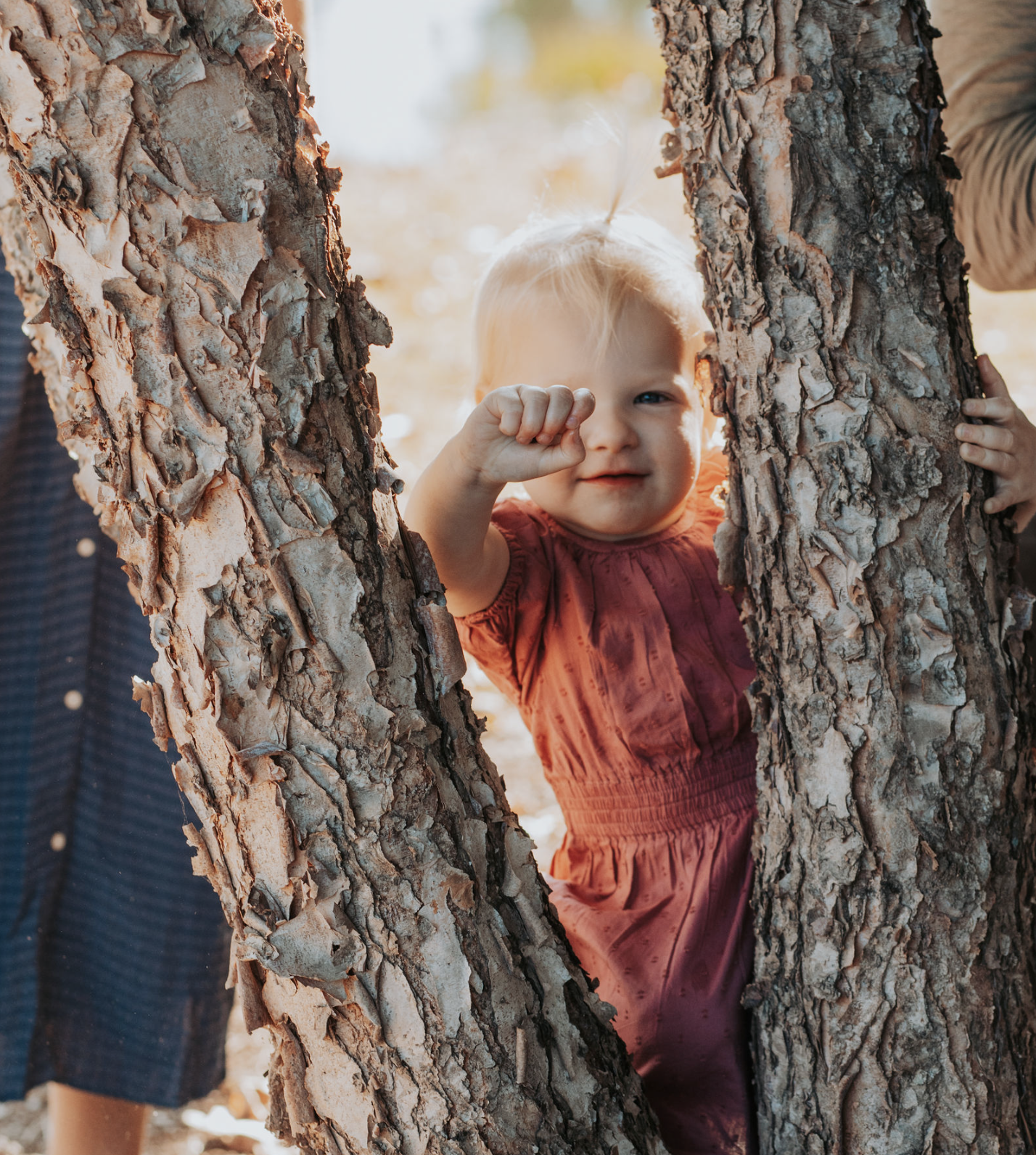 Screen Shot 2024-02-01 at 10.45.10 AM.png