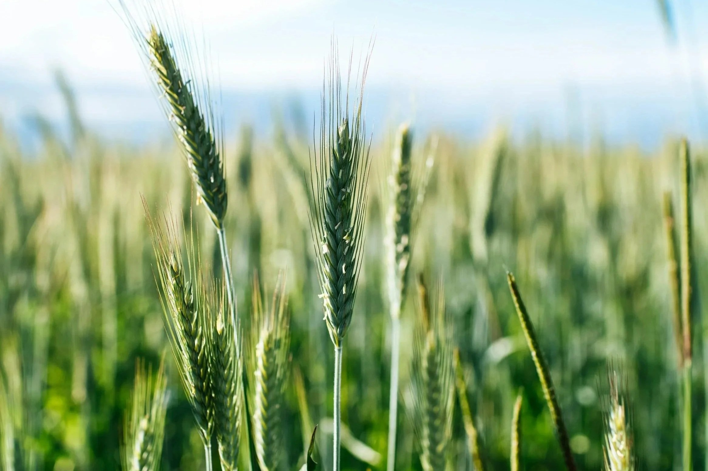 Recertification Season: Why Timely Renewal Matters