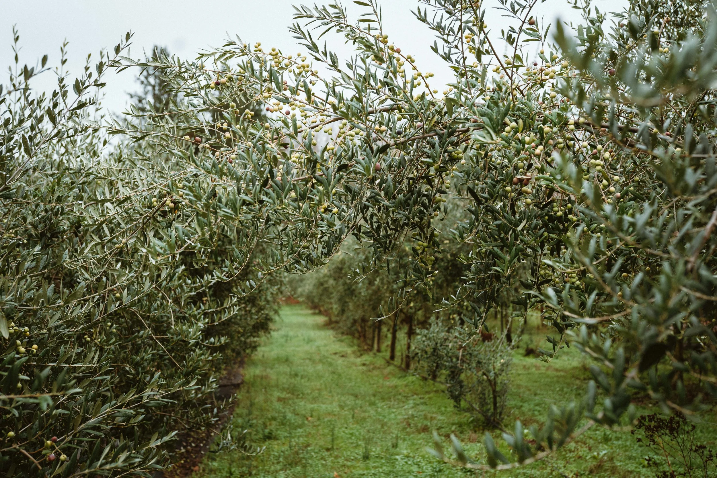 Client Spotlight: Durant at Red Ridge Farms
