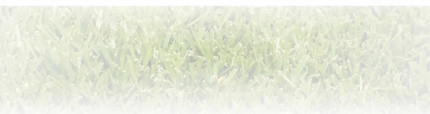 types_of_grass_bg6.jpg