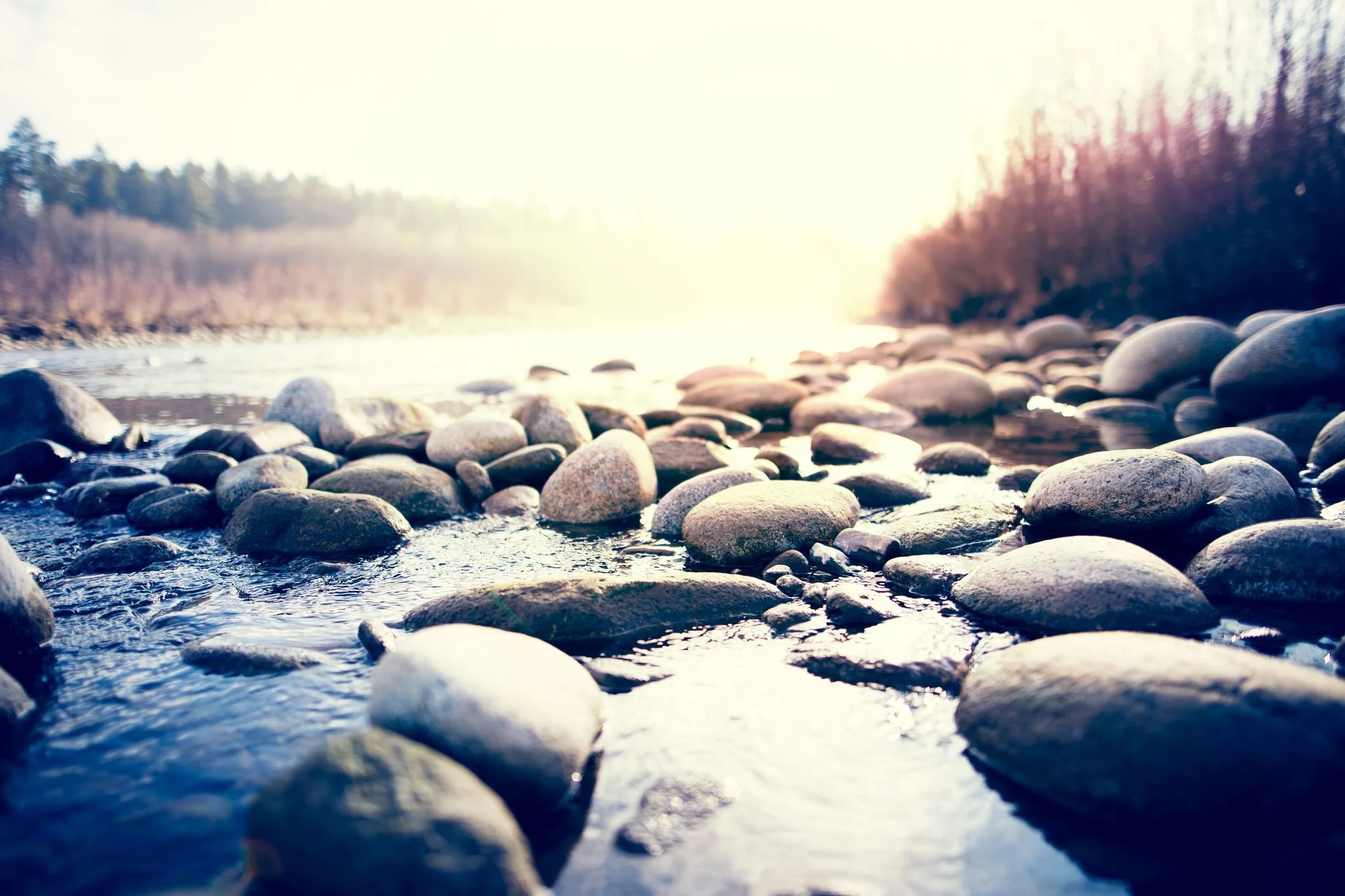 iStock-502647198.jpg