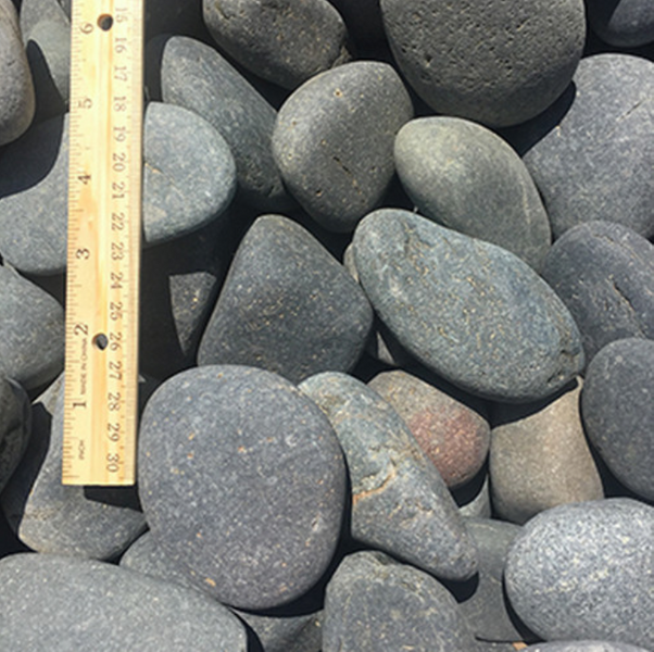 MEXICAN BEACH PEBBLES 3"