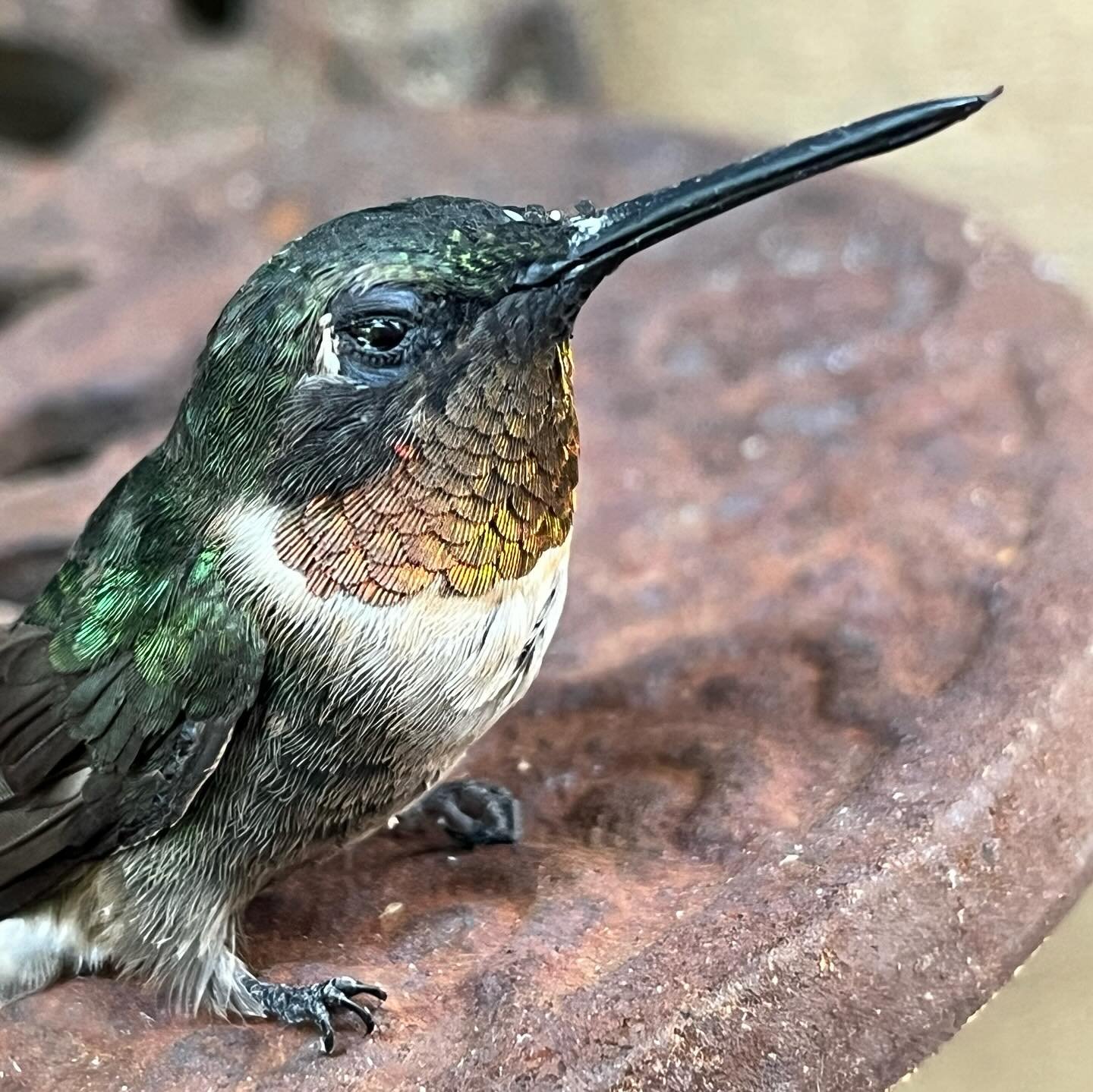 @em2.io is a magical place. #nashvillecreates