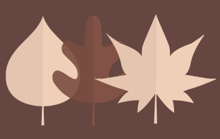 Fall Conference