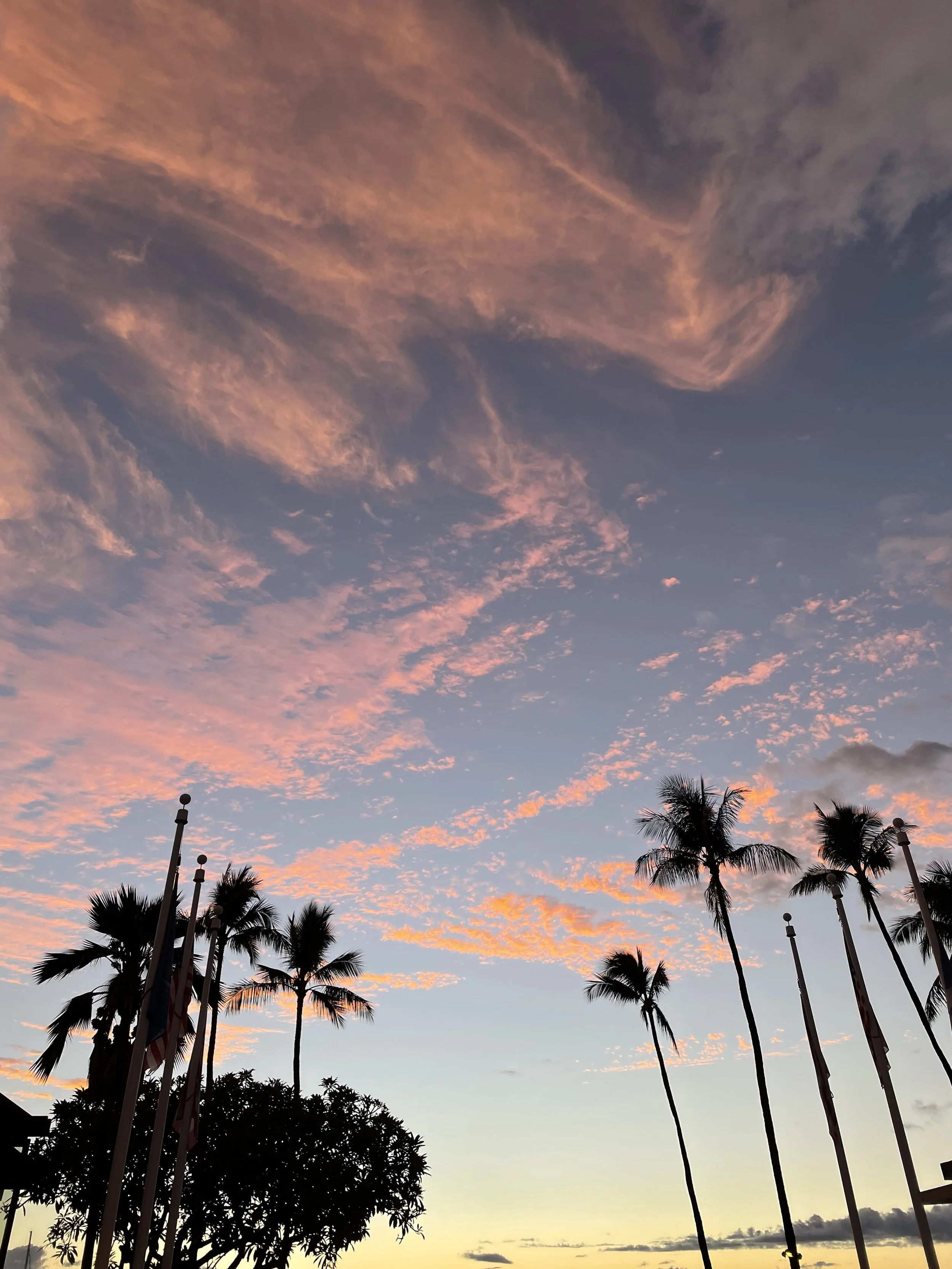 Sky with pink and orange clouds during sunset, silhouette of palm trees and flagpoles in foreground.