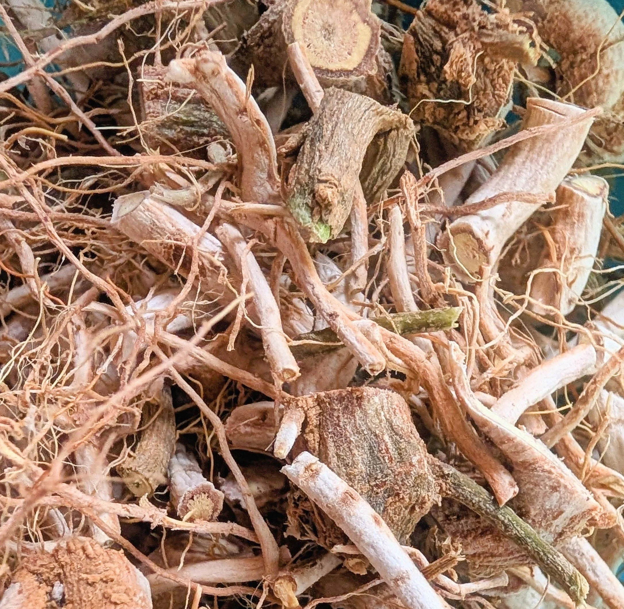 Ashwagandha: A Root for Resilience