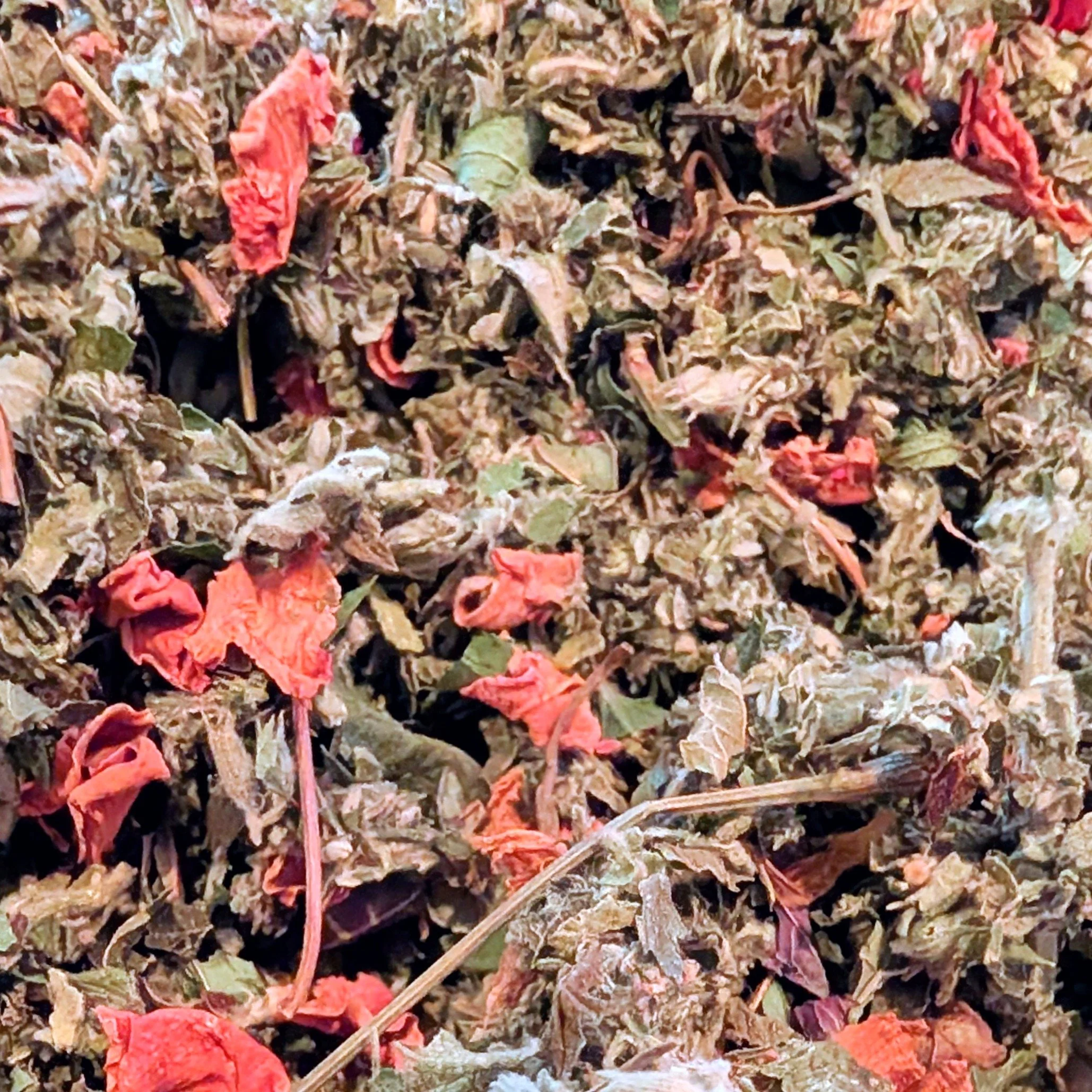 Herbal Tea - The Dreaming Garden