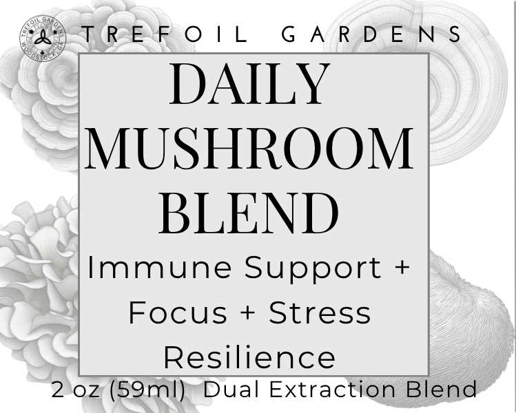Tinctures+-+Daily+Mushroom+Blend.png