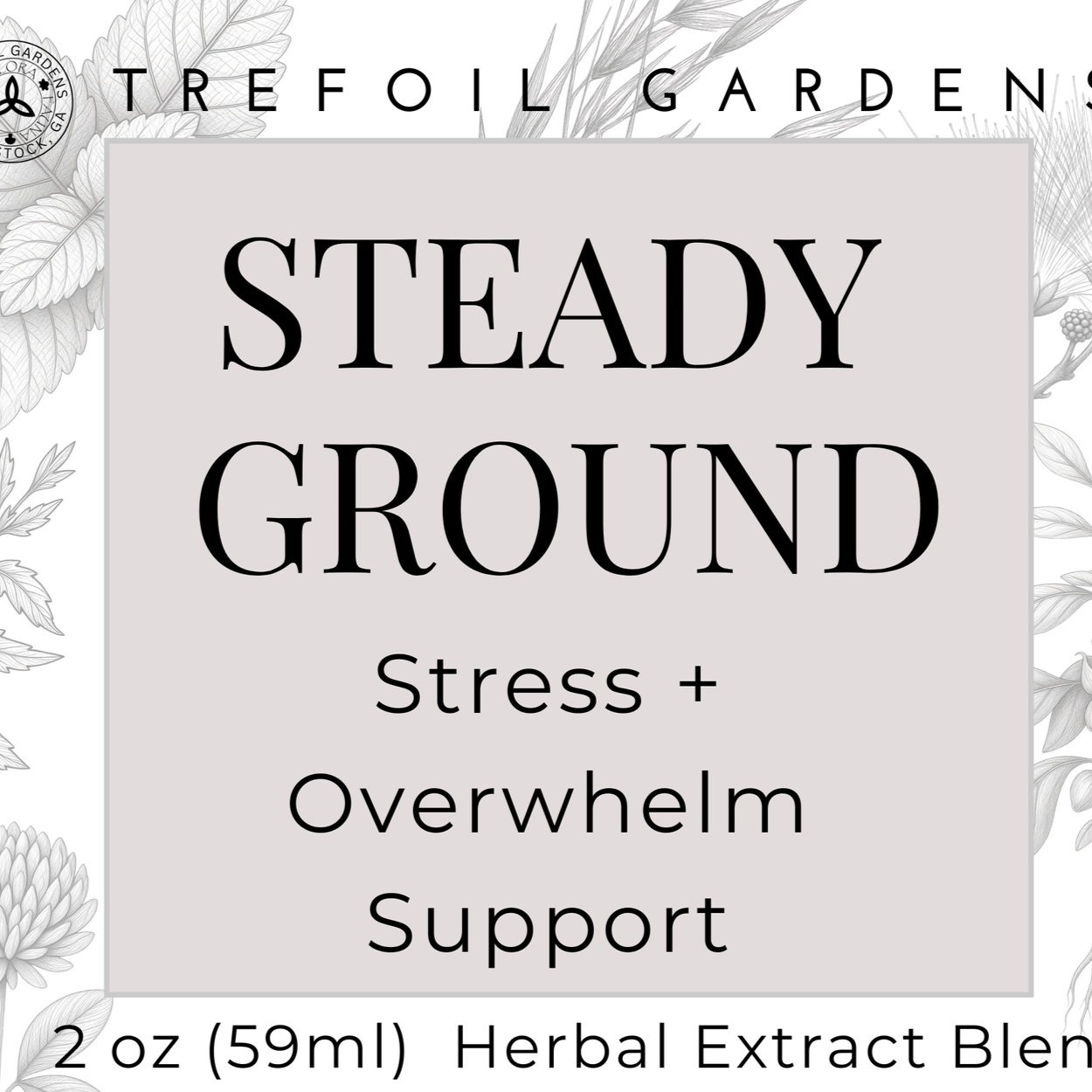 Steady+Ground+%281%29.png