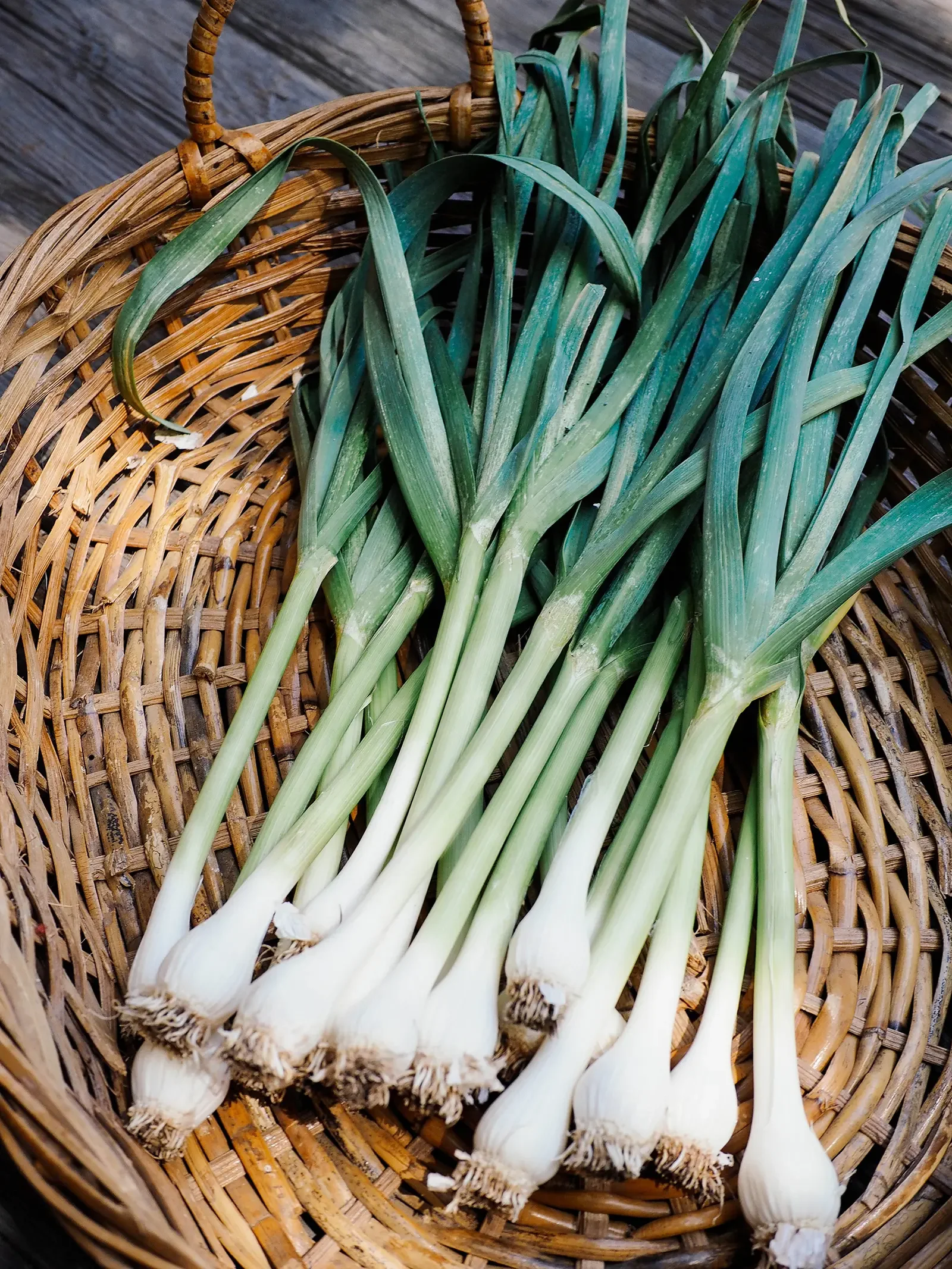 green-garlic-01.jpg.webp