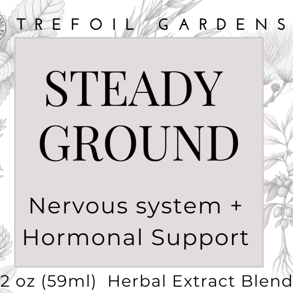 Steady+Ground.png
