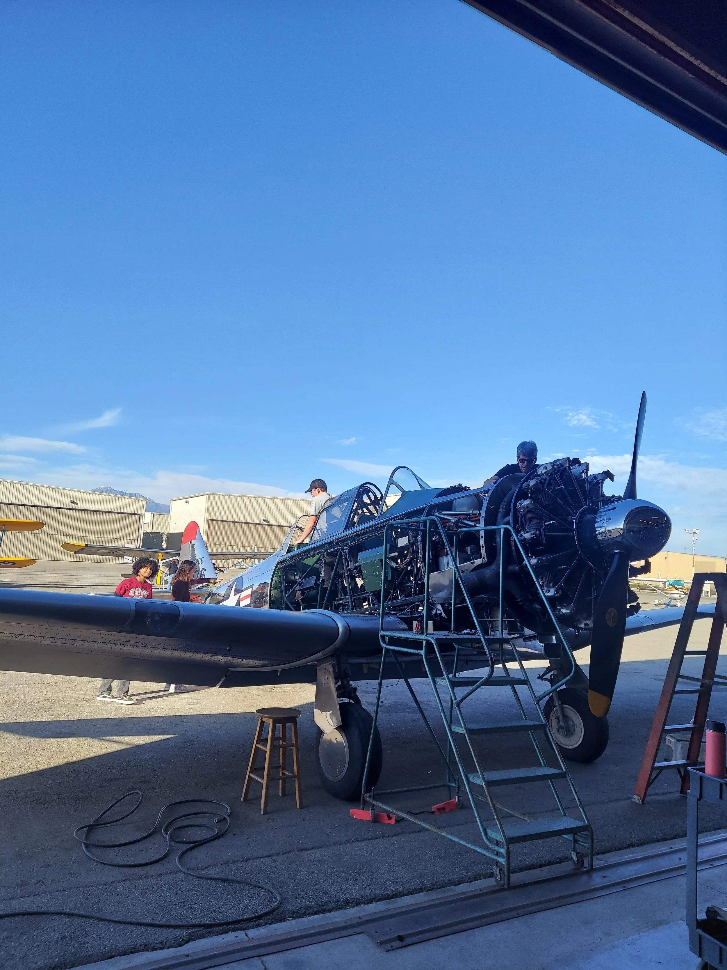 T-6 Annuals and More T-6 Annuals