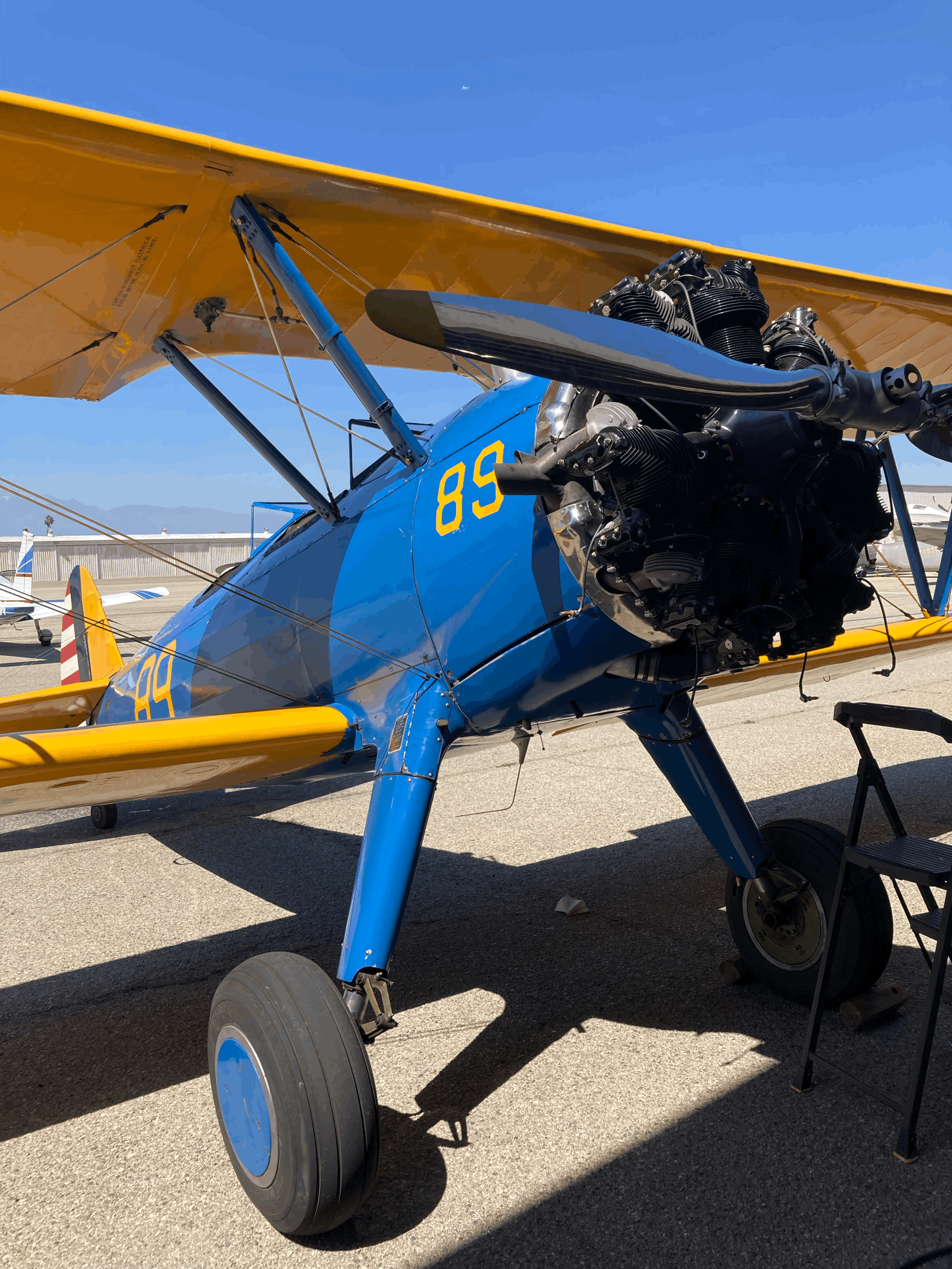 Wings, Wheels and Rides!