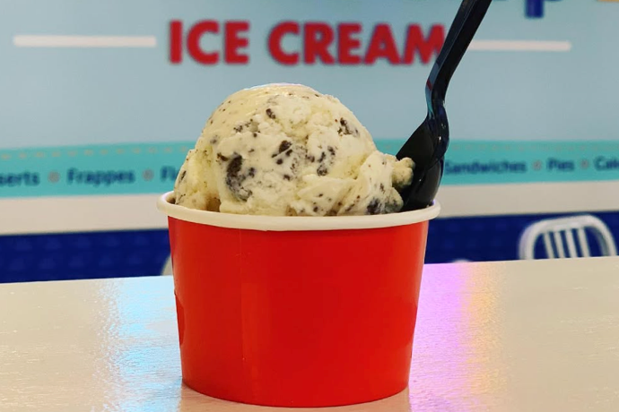 Chocolate Chip Ice Cream