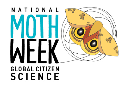 National Moth Week