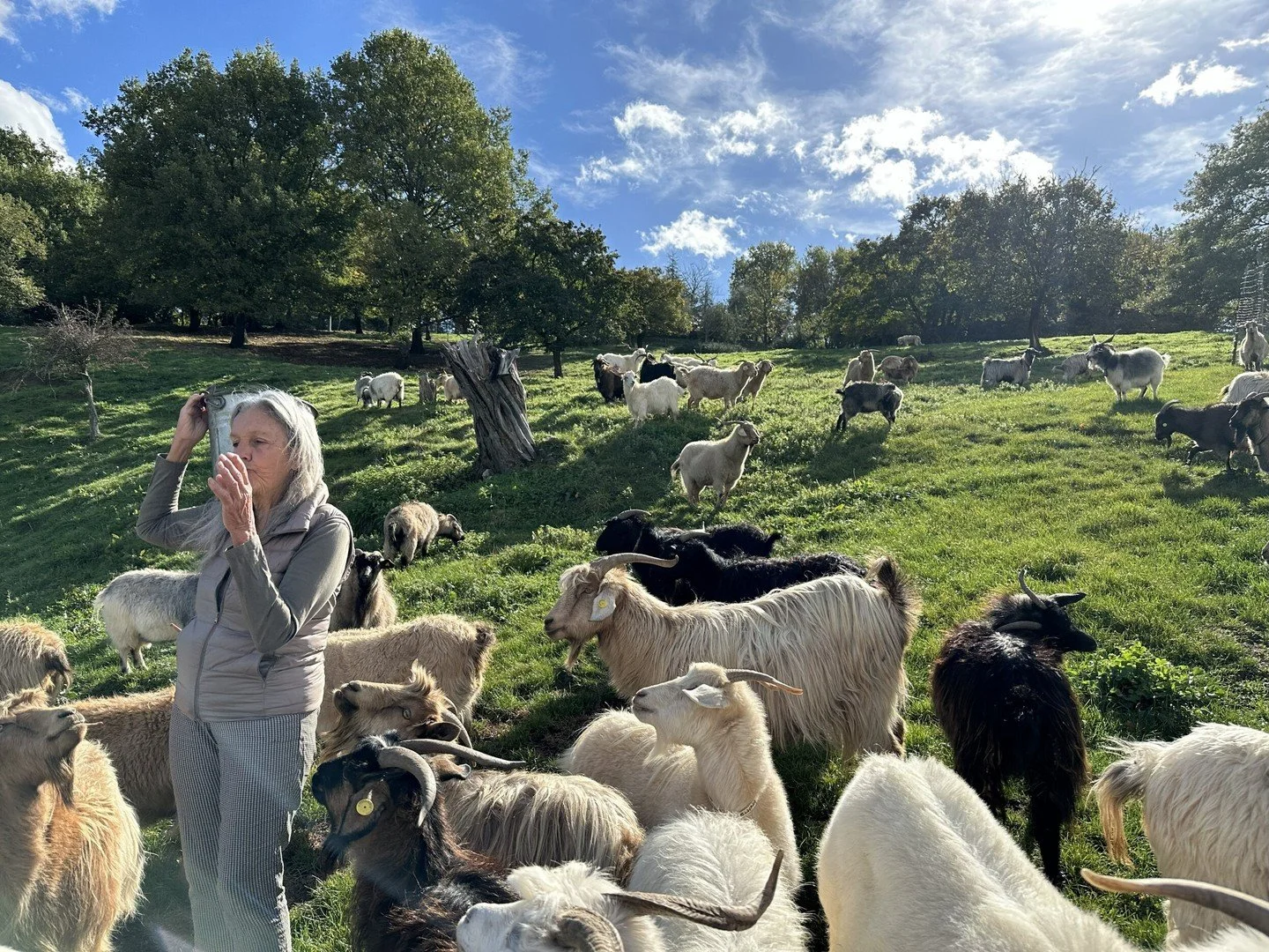 We visited Chianti Cashmere and met Dr. Nora Kravis &ndash; an American veterinarian who literally said &quot;you know what? I'm moving to Tuscany and starting a cashmere goat farm&quot; and actually did it.
Not only is this the first (and largest!) 