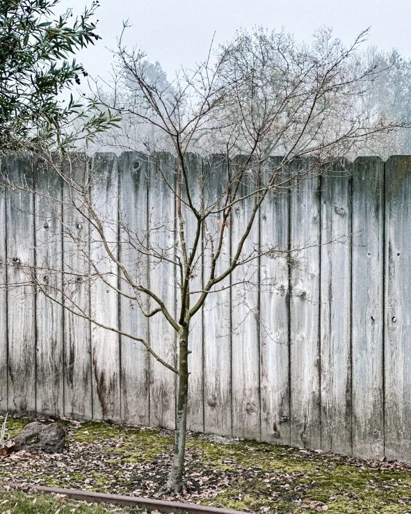 A gentle goodbye to this year. 🌿
There were lessons, and there were loose ends for sure.
There were things that grew &mdash; and things that didn&rsquo;t.
Like this season, not everything needs to come with us.
Some things are allowed to stay here, 