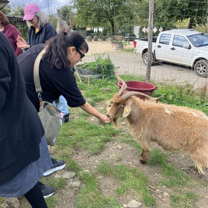 You ever have one of those moments where you meet someone and think, "Okay, THIS person has figured out life"?
That was me at Chianti Cashmere in Tuscany.
Dr. Nora Kravis moved to Italy decades ago and fell in love &ndash; with the land, th