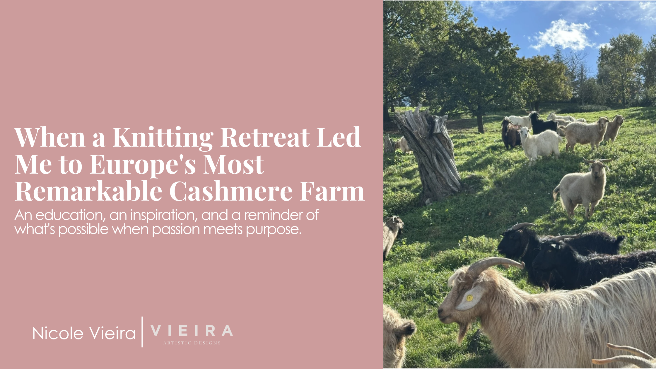 When a Knitting Retreat Led Me to Europe's Most Remarkable Cashmere Farm