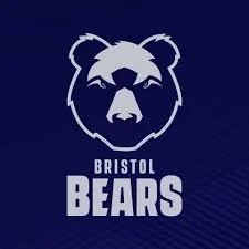 bears.jpeg