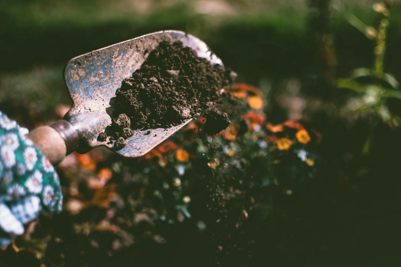 A trowel with soil
