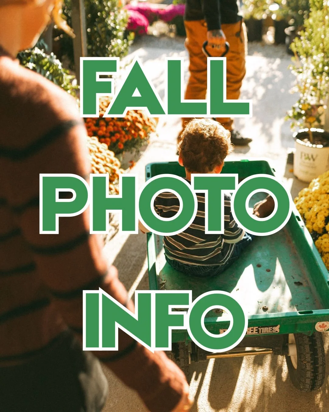 Get all the info you need about my fall photo plans - would love to see your family! 🍂