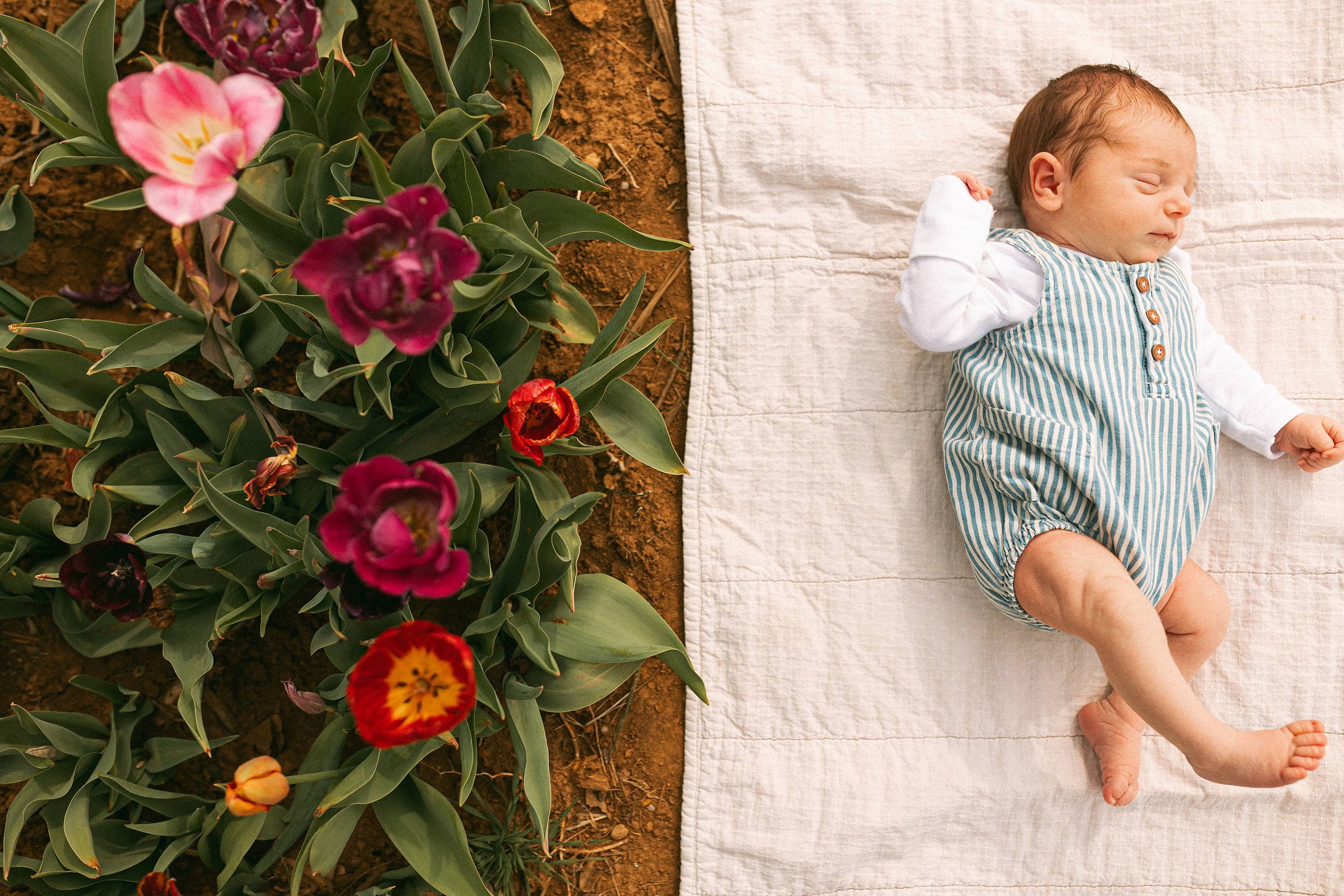 baby photographer, baby photography, baby photography middle TN, baby photography Nashville TN, baby photography Columbia TN, baby photographer Franklin TN, newborn photography, newborn sessions, newborn photographer middle TN