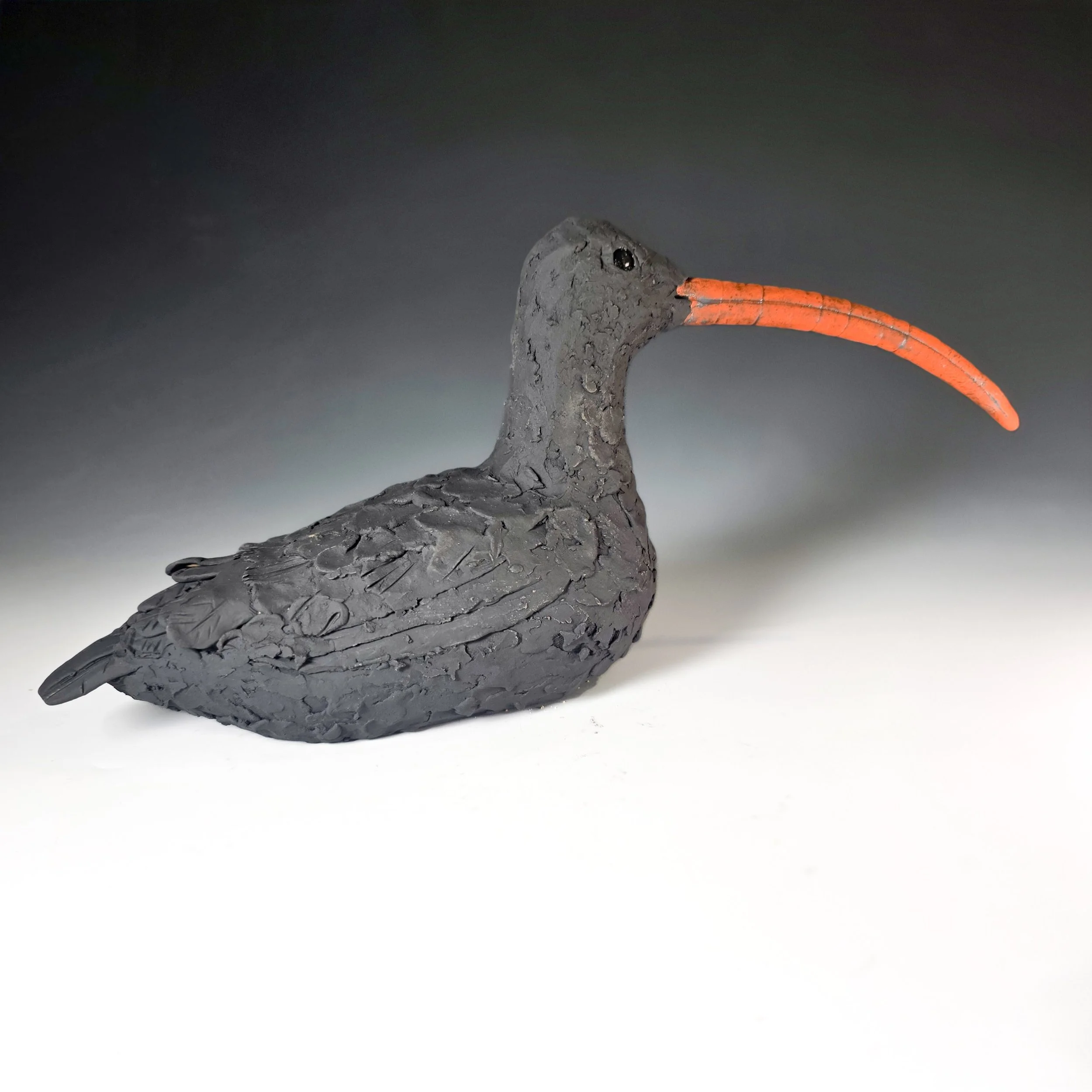 Orange Billed Cuurlew.jpg