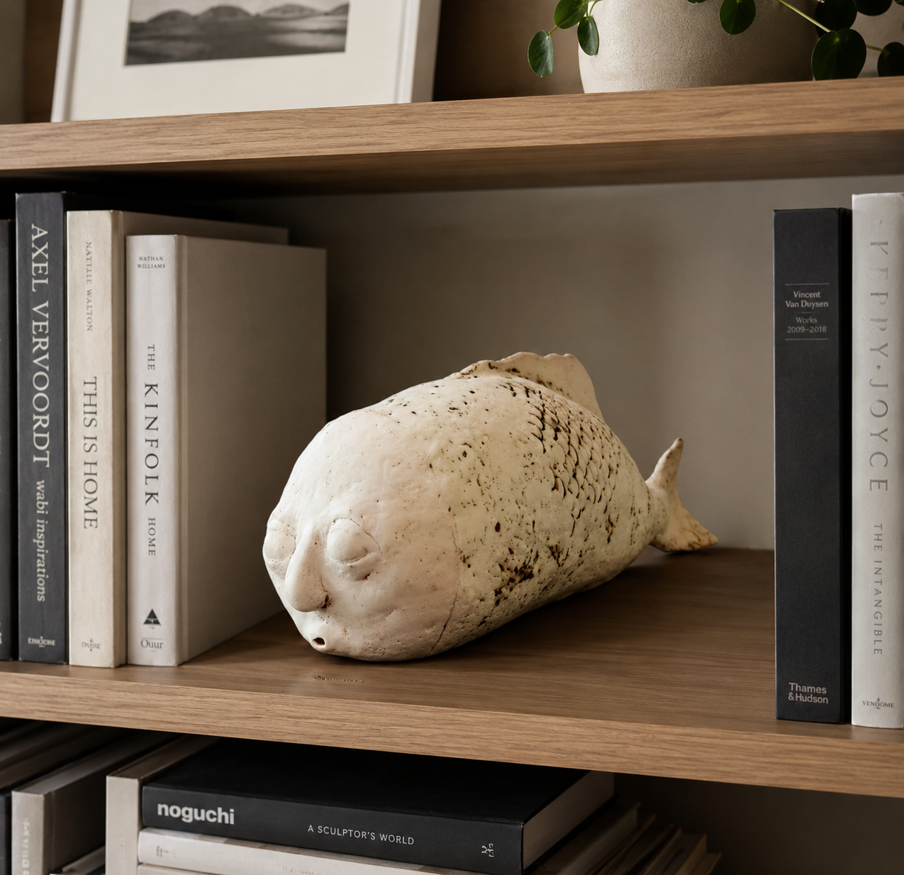 Humafish on a shelf.png