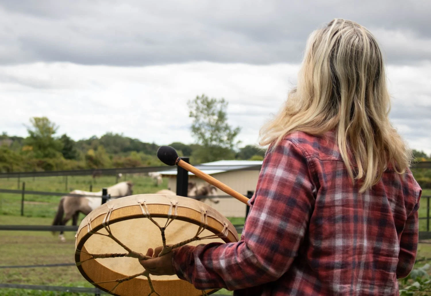  Horse wisdom Yoga practitioner Dawn Lawson-Gula hosted an event to honour the land and the death of indigenous children during their time at the residential schools. The event started at 11 am which included a walk around the farm alongside the anim