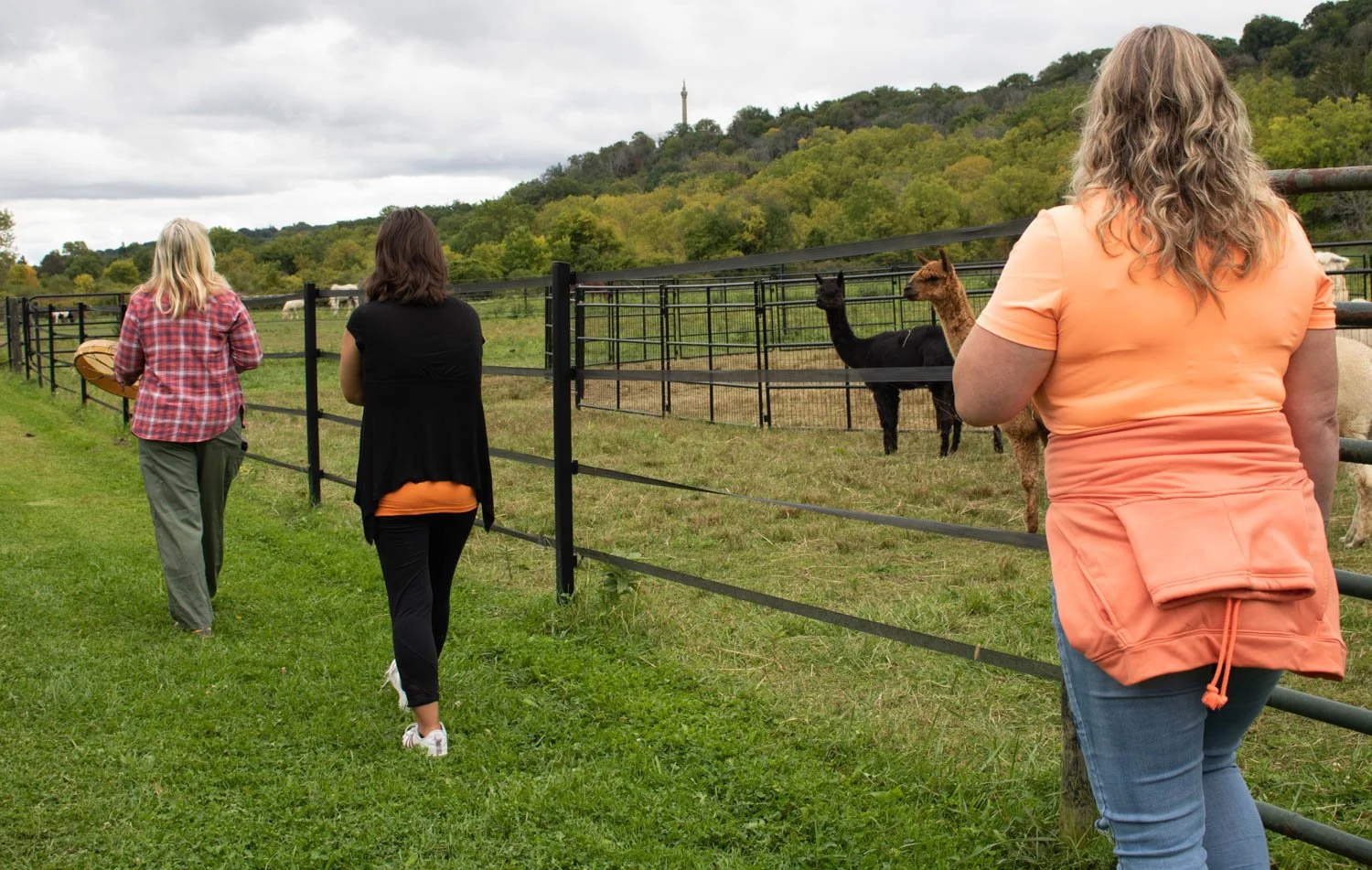 A Truth and Reconciliation event hosted by Dawn Lawson-Gula at Foxtrot Fields-Horses Healing and Namaste Goats farm. The event was intimate including only three participants who walked silently and with social distancing as Lawson-Gula beat her drum