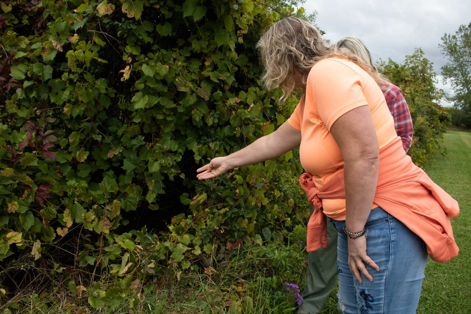  A Truth and Reconciliation event started at 11 a.m. which included a walk around the Foxtrot Fields-Horses Healing and Namaste Goats farm alongside the animals while Dawn Lawson-Gula, host, used her drum as participants followed silently behind her.