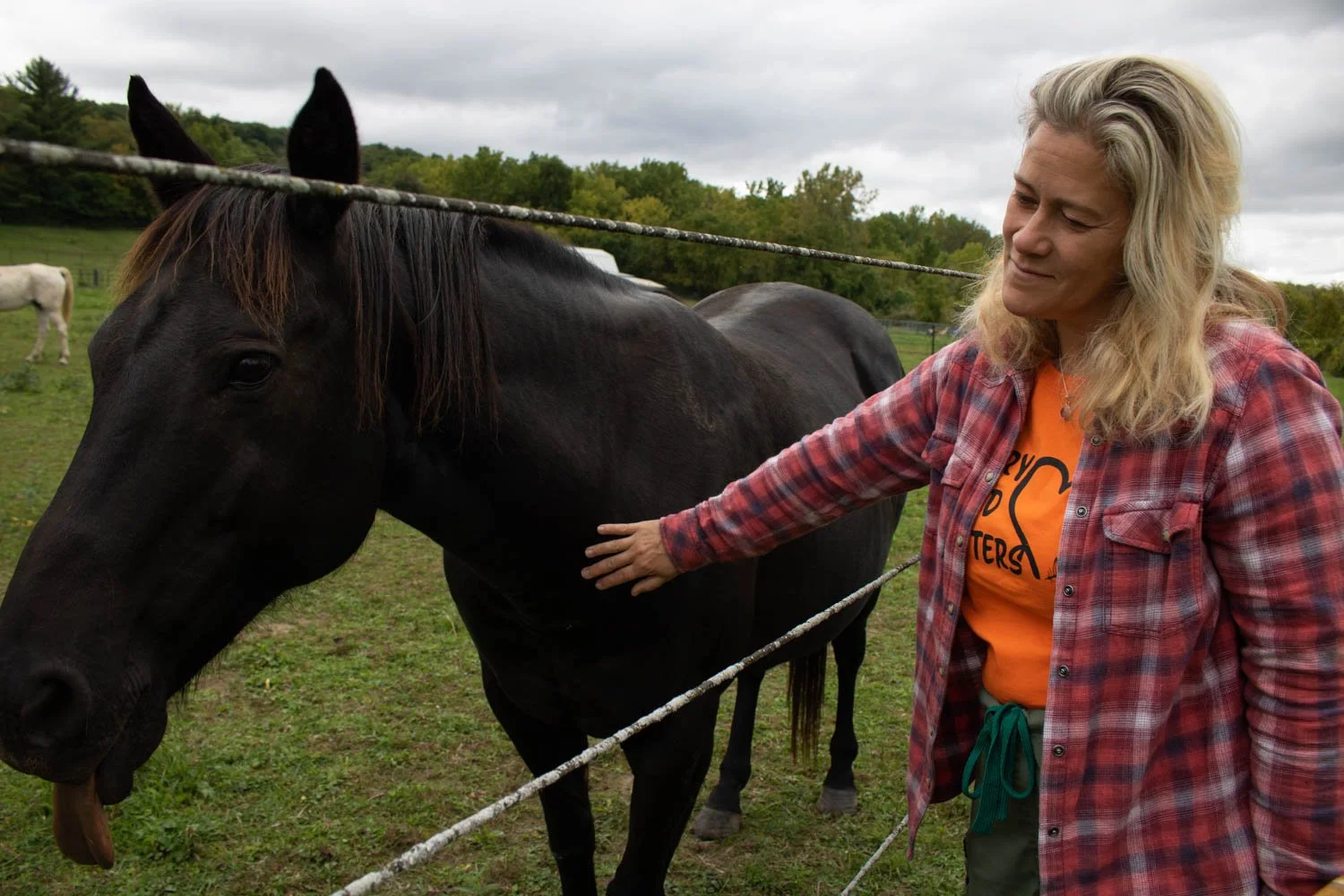  Dawn Lawson-Gula said Sandra, the horse, is drawn to the energy of grief which proved true as she followed the participant along the walk to support with the grief felt over the deaths of indigenous children. 