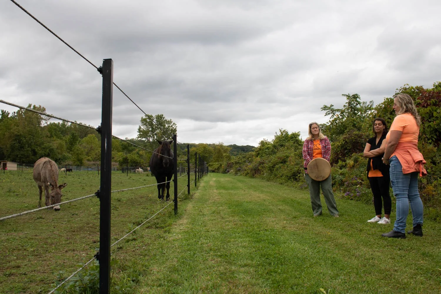  Dawn Lawson-Gula’s goal of hosting the event was to try sending out love and hoping the group can help heal the trauma and pain that Indigenous communities feel. The event was hosted at Foxtrot Fields-Horses Healing and Namaste Goats farm. The event