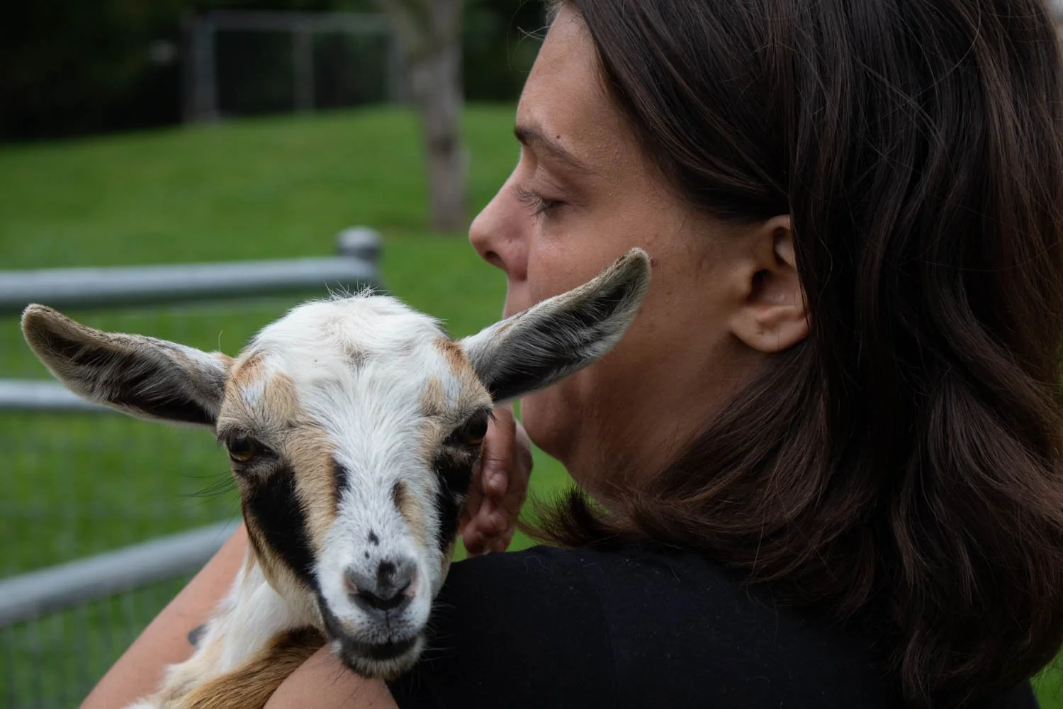  The gloomy weather reflected the heaviness felt by all participants at the Truth and Reconciliation event hosted by Dawn Lawson-Gula at the Foxtrot Fields-Horses Healing and Namaste Goats farm. The horses and other animals were turned to for support