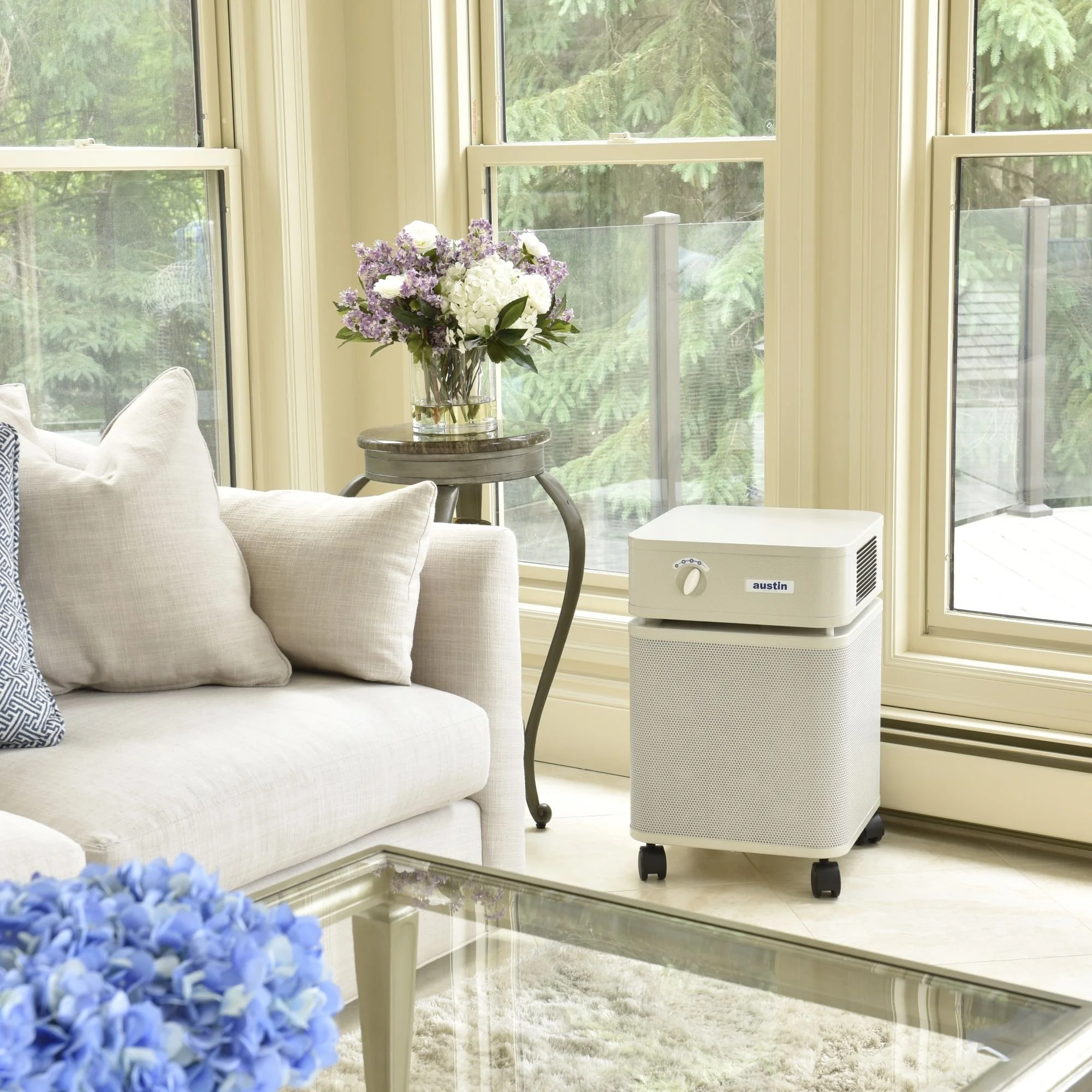 Austin Air HealthMate Plus air purifier in a living room for continuous filtration of airborne contaminants