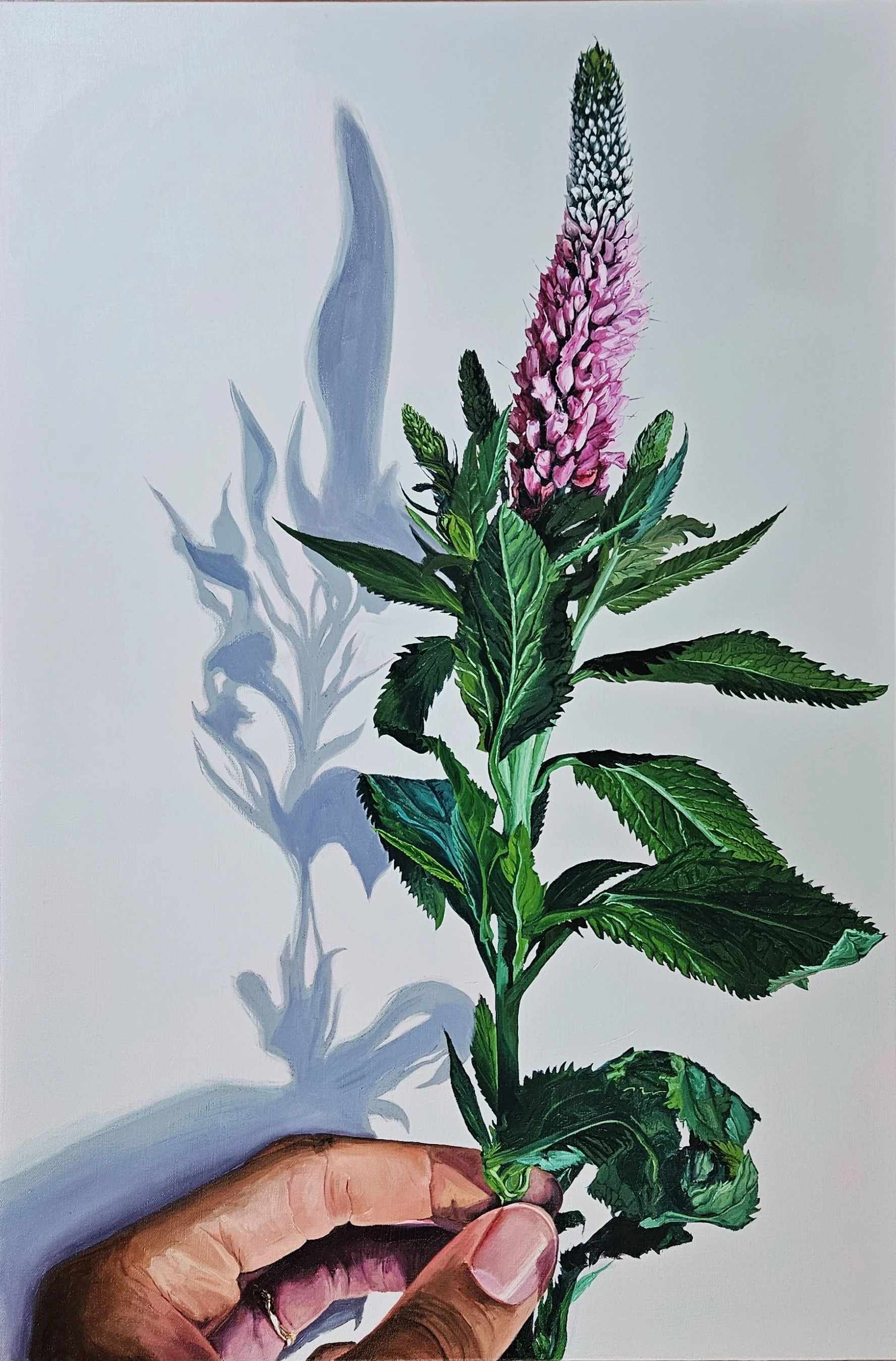 Tending Light & Bloom