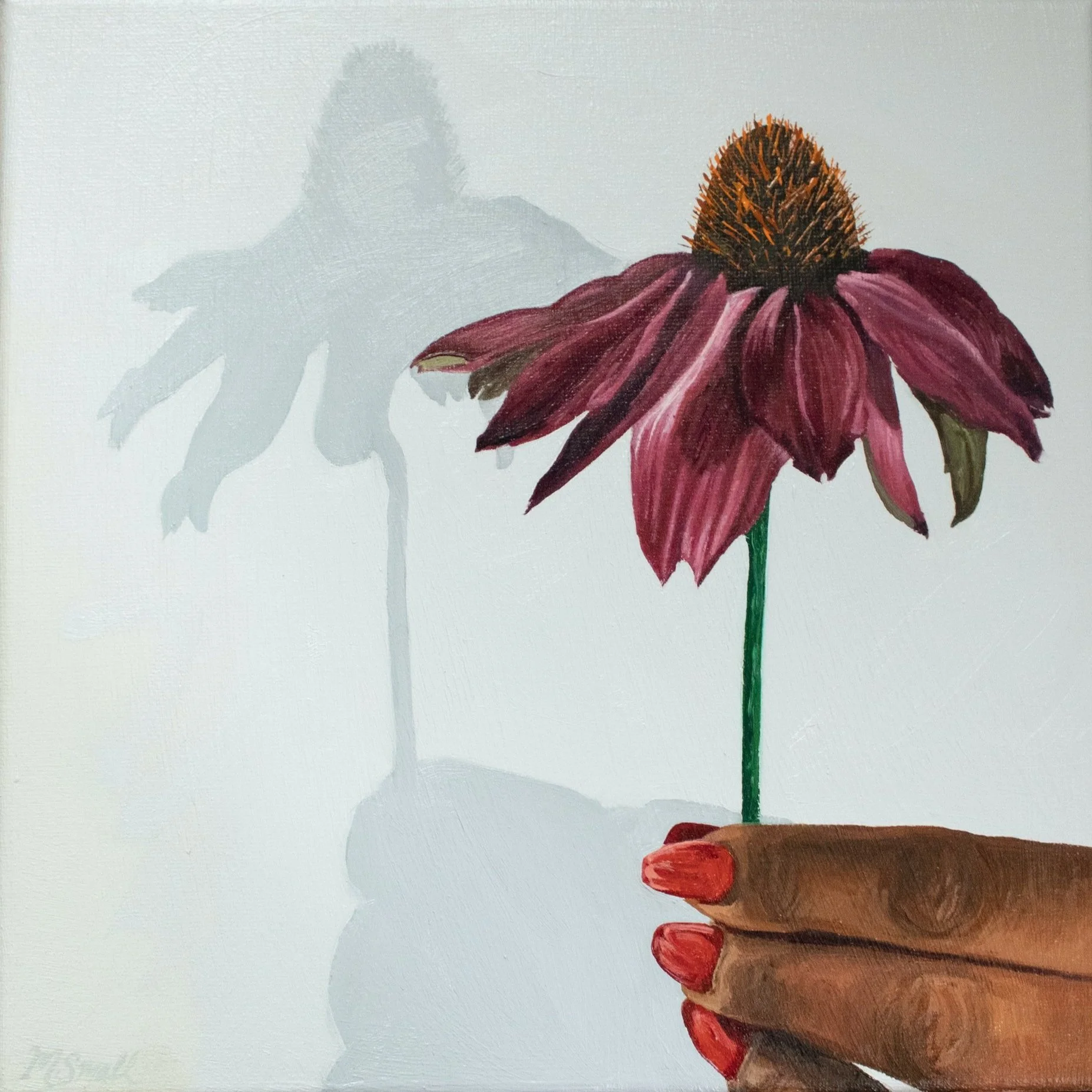 An Invitation: Coneflower