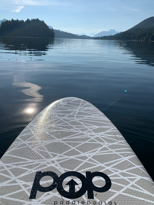 The Paddle Boarding Incident