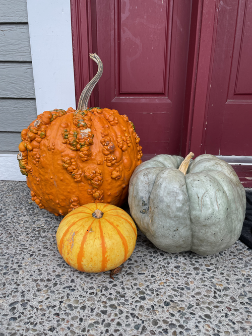 Kicking Perfectionism to the Curb