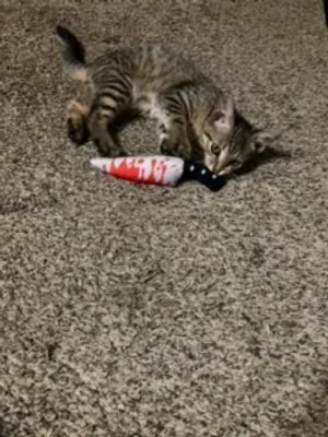 Tilly's got a knife!