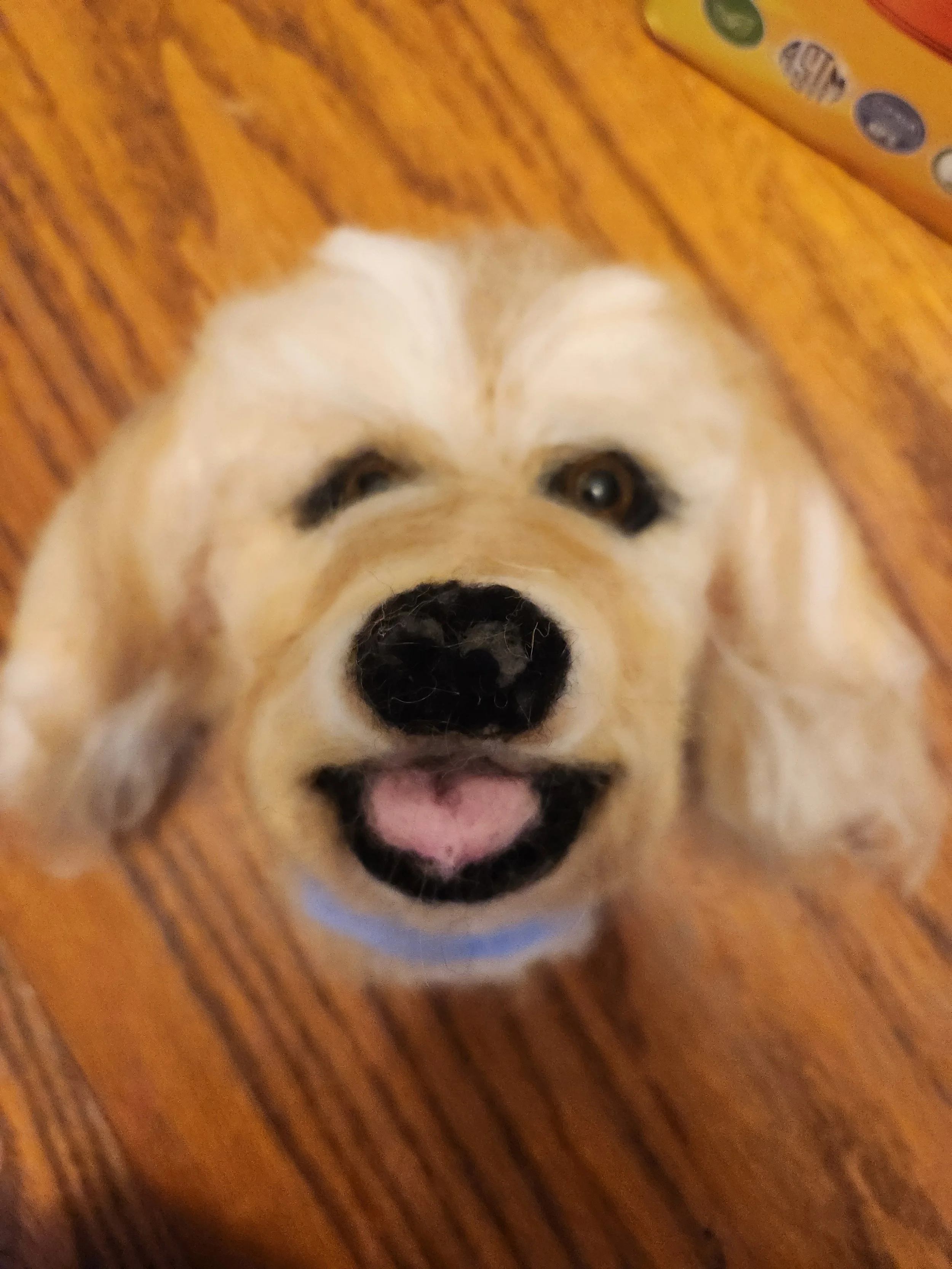 needle felt student dog 1.jpg