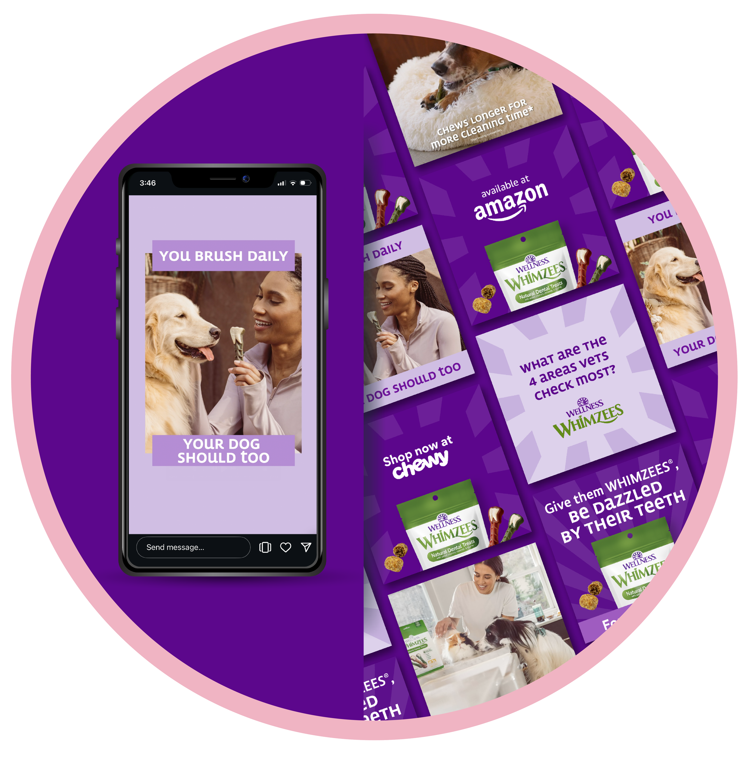Wellness 2025 Media Buy