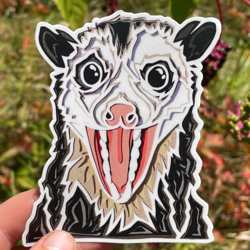 Possum